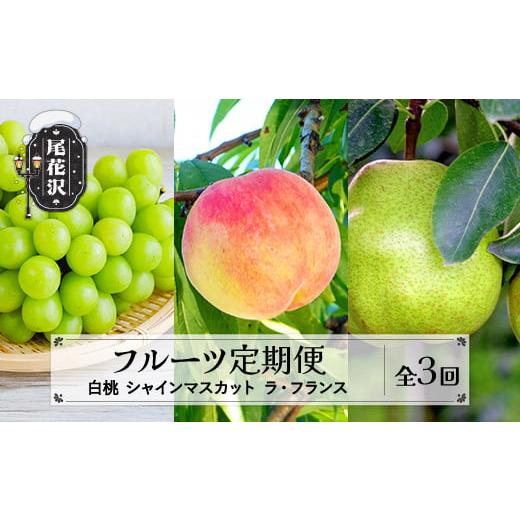 ふるさと納税 もも 山形県 尾花沢市 先行予約 フルーツ定期便 全3回 白桃 シャインマスカット ラ・フランス 秀品 2026年9月上旬頃~発送開始 2026年産 令和8年…