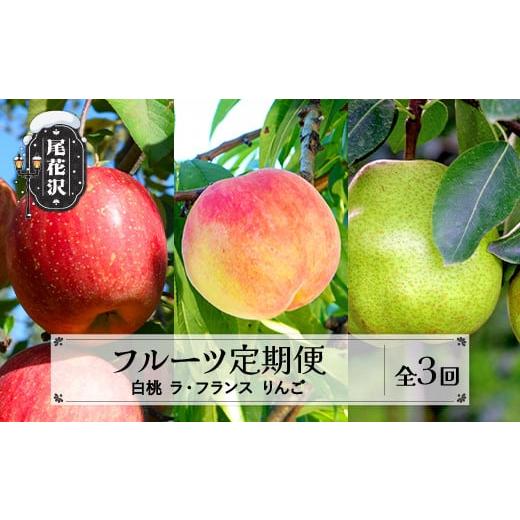 ふるさと納税 もも 山形県 尾花沢市 先行予約 フルーツ定期便 全3回 白桃 ラ・フランス りんご 秀品 2026年9月上旬頃~発送開始 2026年産 令和8年産 佐竹物産 …