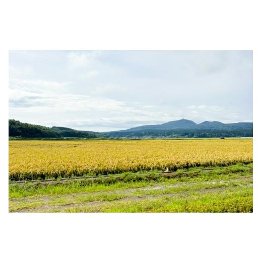 ふるさと納税 米 あきたこまち 秋田県 男鹿市 《令和7年産》あきたこまちブレンド米（上白米）10kg 秋田県 男鹿市 男鹿ファーム直売所 米 お米 上白米 白米 精…_6