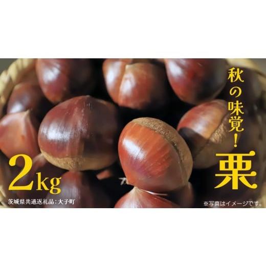 ふるさと納税 果物類 栗 茨城県 牛久市 秋の味覚「 栗 」2kg 2026年9月上旬発送開始 (茨城県共通返礼品:大子町) くり マロン 果物 スイーツ モンブラン 栗き…