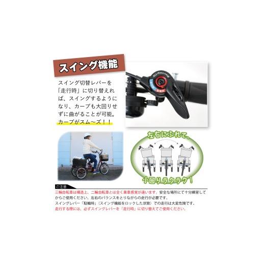 2人乗り三輪車　大阪府現地引き取り限定 2人乗り三輪車 大阪府現地引き取り限定 2人乗り三輪車 大阪府現地
