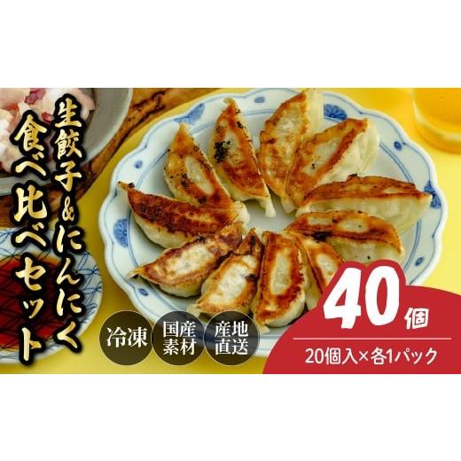ふるさと納税 惣菜・レトルト 冷凍 埼玉県 北本市 にんにく餃子20個&amp;生餃子20個 餃子 40個 人気店の旨味あふれる冷凍餃子 | 大容量 ギョウザ 冷凍餃子 ギ…