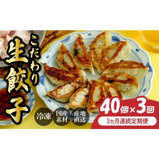 ふるさと納税 惣菜・レトルト 冷凍 埼玉県 北本市 定期便 全3回 餃子 毎月40個 人気店の旨味あふれる冷凍餃子 | 大容量 ギョウザ 冷凍餃子 ギョーザ 冷凍ギョ…