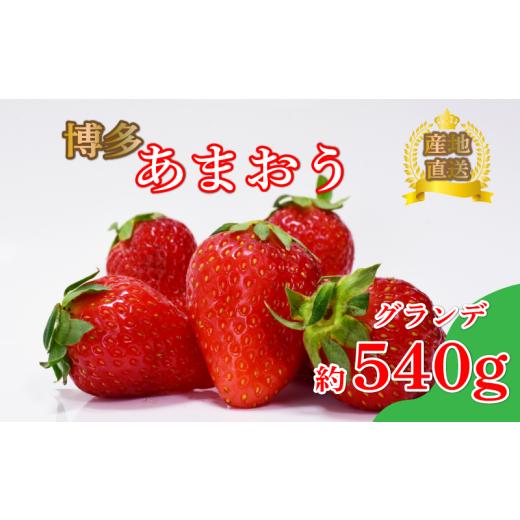 ふるさと納税 いちご 福岡県 川崎町 あまおう グランデ等級 約270g×2パック(2月〜4月に順次発送予定)冷蔵 小分け いちご 福岡県産 苺 あまおうイチゴ フ…