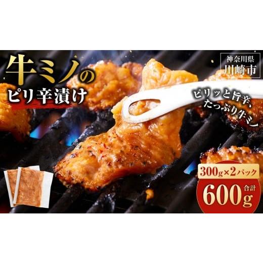 ふるさと納税 牛肉 ホルモン 神奈川県 川崎市 牛ミノ ピリ辛漬け 600g ( 300g ×2パック ) 小分け 個包装 便利 牛肉 ホルモン ミノ 焼肉 焼き肉 お肉 肉 焼く…