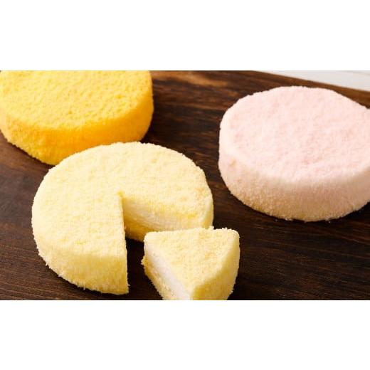 ふるさと納税 ケーキ・カステラ チーズケーキ 北海道 小樽市 2回定期便 北海道フロマージュ 3種セット (プレーン ・ アップル ・ メロン) 約1.05kg (約350…