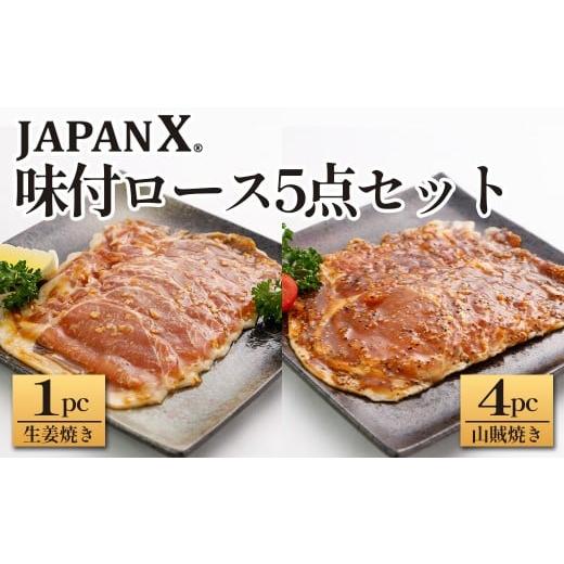 ふるさと納税 豚肉 ロース 宮城県 蔵王町 JAPAN X 味付ロース5点セット 生姜焼き1パック・山賊焼き4パック 豚肉 豚 ブランド豚 小分け ロース 豚ロース 味付 …