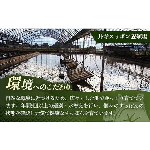 ふるさと納税 缶詰・瓶詰 岩手県 岩手町 麻布小銭屋すっぽんスープ30缶 すっぽん スッポン 缶スープ すっぽん鍋 便利 使いやすい ストック コラーゲン コラー…_3