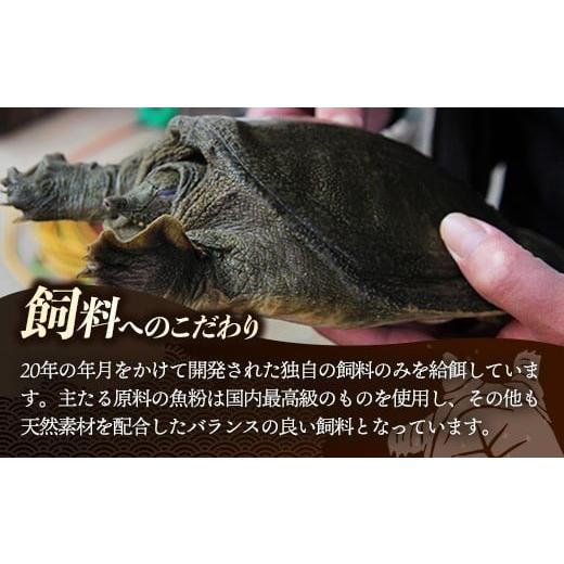 ふるさと納税 缶詰・瓶詰 岩手県 岩手町 麻布小銭屋すっぽんスープ30缶 すっぽん スッポン 缶スープ すっぽん鍋 便利 使いやすい ストック コラーゲン コラー…_5