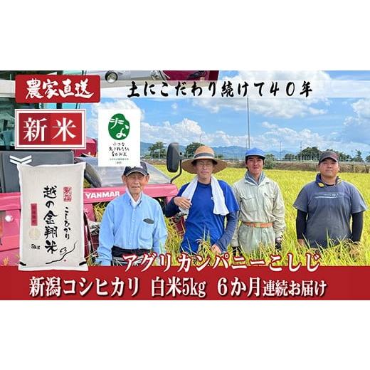 ふるさと納税 米 コシヒカリ 新潟県 長岡市 J8-7C056 6ヶ月連続お届け 新潟県長岡産コシヒカリ5kg 「小さな生き物たちと育むお米」認証品