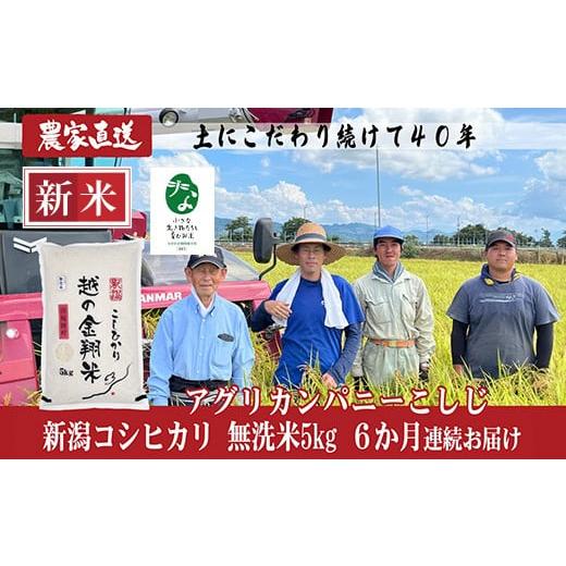 ふるさと納税 米 コシヒカリ 新潟県 長岡市 J8-7MC056 6ヶ月連続お届け 新潟県長岡産コシヒカリ無洗米5kg 「小さな生き物たちと育むお米」認証品