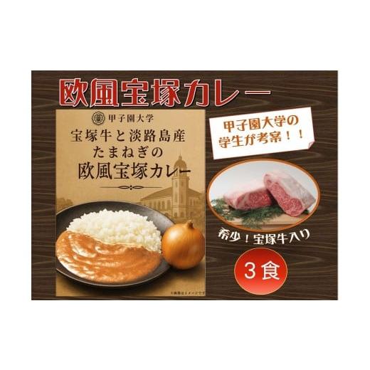 ふるさと納税 加工品等 レトルト 兵庫県 宝塚市 甲子園大学・学生考案 宝塚牛と淡路島産玉ねぎの欧風宝塚カレー(3食セット)