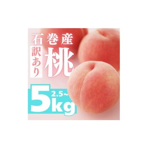 ふるさと納税 もも 愛知県 豊橋市 先行予約 2026年発送 石巻産桃 2.5kg 桃 もも モモ フルーツ 桃 もも モモ 果物 白鳳 日川白鳳 清水白桃 川中島白桃 なつっ…
