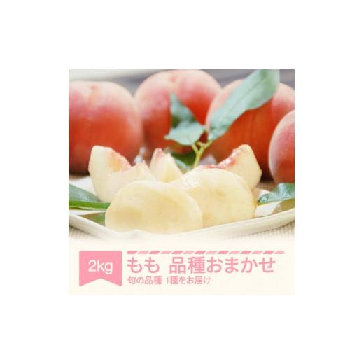 ふるさと納税 もも 山形県 村山市 先行予約 もも 桃 品種おまかせ 約2kg 令和八年産 2026年産 果物 mm-moomx2-b 令和8年産