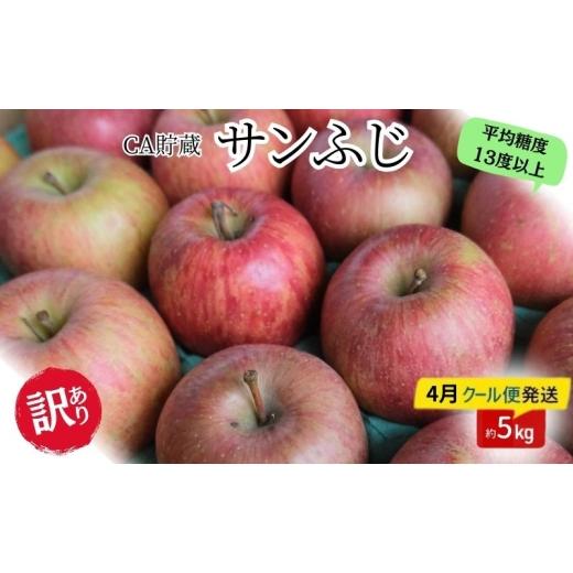 ふるさと納税 りんご 青森県 板柳町 りんご 4月クール便発送 平均糖度13度以上 訳あり品 家庭用 CA貯蔵 サンふじ 約 5kg 青森りんご 果物類 林檎 リンゴ フル…