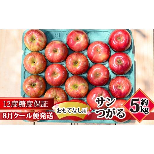 ふるさと納税 りんご 青森県 板柳町 8月クール便発送 (12度糖度保証)おもてなし用 家庭用 サンつがる約5kg 青森りんご 果物類 林檎 リンゴ 青森県産 フルー…