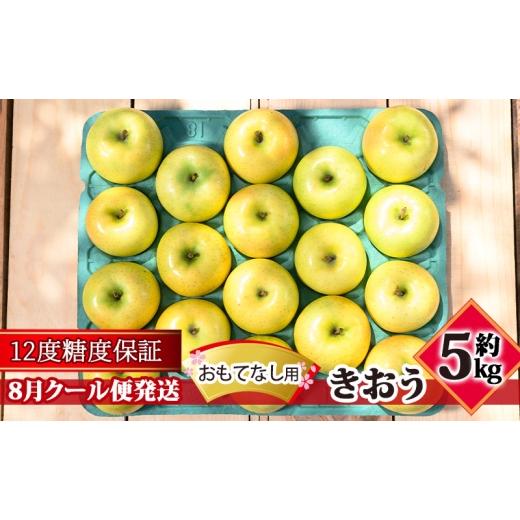 ふるさと納税 りんご 青森県 板柳町 8月クール便発送 (12度糖度保証)おもてなし用 家庭用 きおう約5kg 青森りんご 果物類 林檎 リンゴ 青森県産 フルーツ …