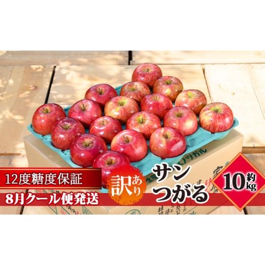 ふるさと納税 りんご 青森県 板柳町 8月クール便発送 (12度糖度保証)訳あり品 家庭用 サンつがる約10kg 青森りんご 果物類 林檎 リンゴ 青森県産 フルーツ …