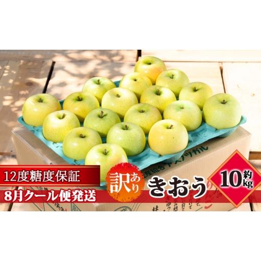 ふるさと納税 りんご 青森県 板柳町 8月クール便発送 (12度糖度保証)訳あり品 家庭用 きおう約10kg 青森りんご 果物類 林檎 リンゴ 青森県産 フルーツ 旬の…