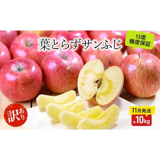 ふるさと納税 りんご 青森県 板柳町 りんご 11月発送 蜜入り 糖度13度以上 訳あり品 家庭用 葉とらず サンふじ 約 10kg 青森りんご 果物 フルーツ デザート 食…