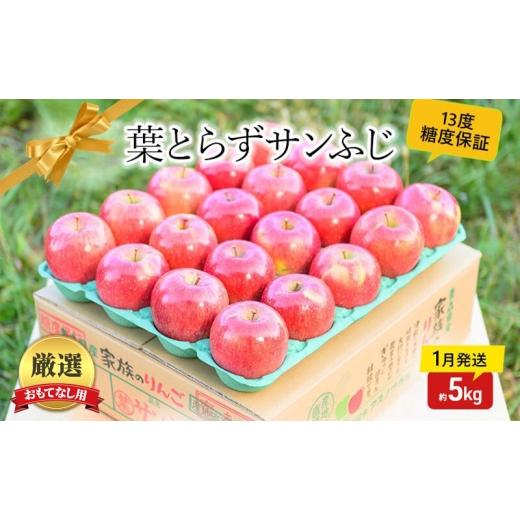 ふるさと納税 りんご 青森県 板柳町 1月発送 糖度13度以上 おもてなし用 家庭用 葉とらず サンふじ 約 5kg 青森りんご 果物 フルーツ デザート 食後 青森県産…