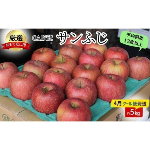 ふるさと納税 りんご 青森県 板柳町 りんご 4月クール便発送 平均糖度13度以上 おもてなし用 家庭用 CA貯蔵 サンふじ 約 5kg 青森りんご 果物 フルーツ デザー…