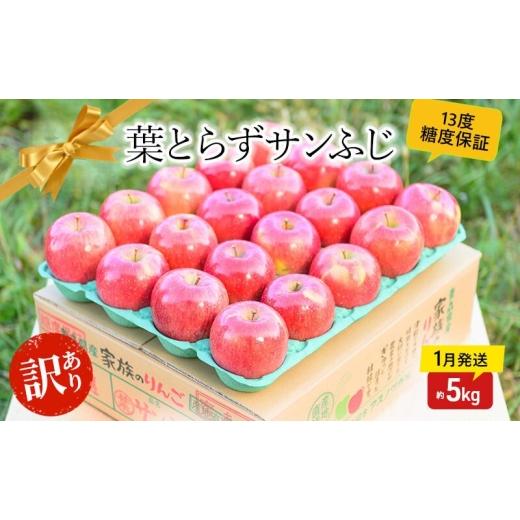 ふるさと納税 りんご 青森県 板柳町 1月発送 糖度13度以上 訳あり品 家庭用 葉とらず サンふじ 約 5kg 青森りんご 果物 フルーツ 食後 デザート 青森県産 産…