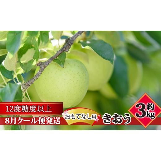 ふるさと納税 りんご 青森県 板柳町 8月クール便発送 (糖度12度以上)おもてなし用 家庭用 きおう約3kg 青森りんご