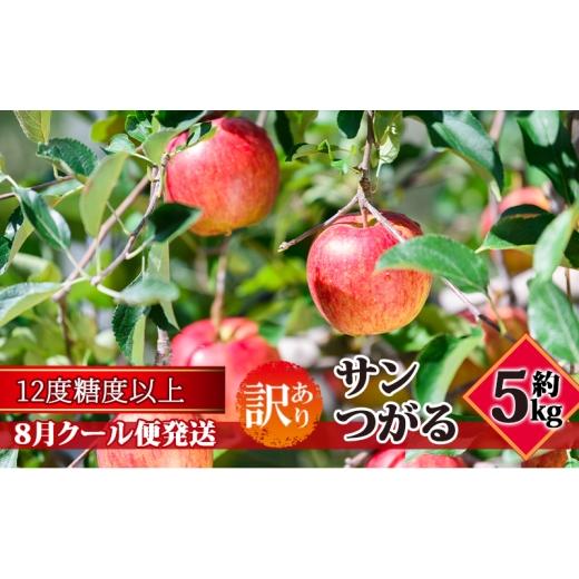 ふるさと納税 りんご 青森県 板柳町 8月クール便発送 (糖度12度以上)訳あり品 家庭用 サンつがる約5kg 青森りんご