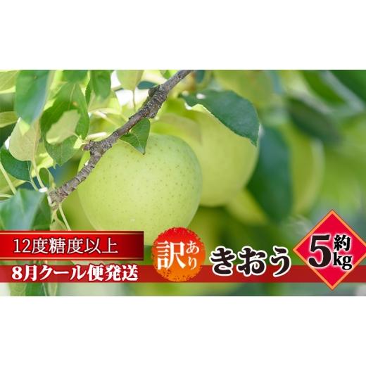 ふるさと納税 りんご 青森県 板柳町 8月クール便発送 (糖度12度以上)訳あり品 家庭用 きおう約5kg 青森りんご
