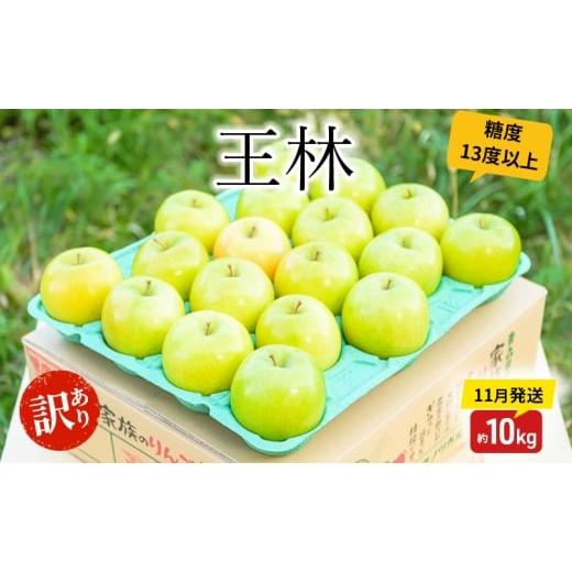 ふるさと納税 りんご 青森県 板柳町 りんご 11月発送 糖度13度以上 訳あり品 家庭用 王林 約10kg 青森りんご
