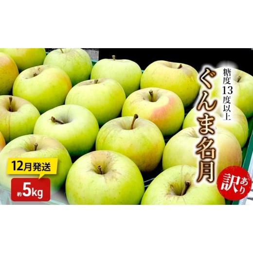 ふるさと納税 りんご 青森県 板柳町 りんご 12月発送 糖度13度以上 訳あり品 家庭用 ぐんま名月 約5kg 青森りんご