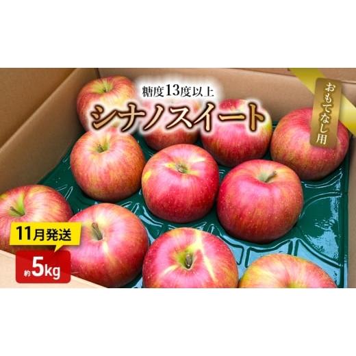 ふるさと納税 りんご 青森県 板柳町 りんご 11月発送 糖度13度以上 シナノスイート おもてなし用 家庭用 約5kg 青森りんご