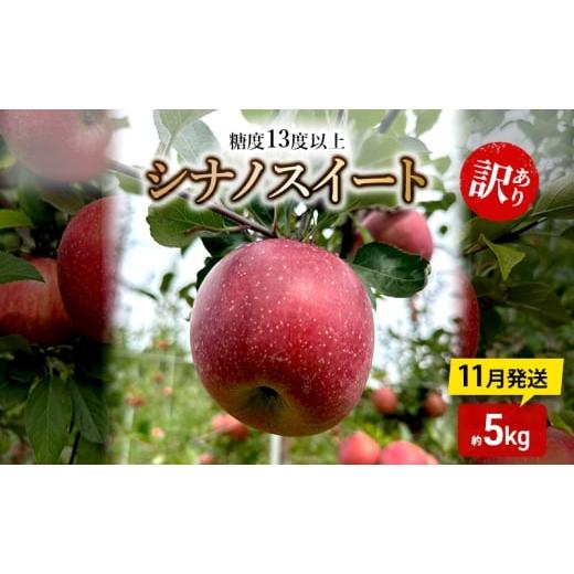 ふるさと納税 りんご 青森県 板柳町 りんご 11月発送 糖度13度以上 訳あり品 家庭用 シナノスイート 約5kg 青森りんご