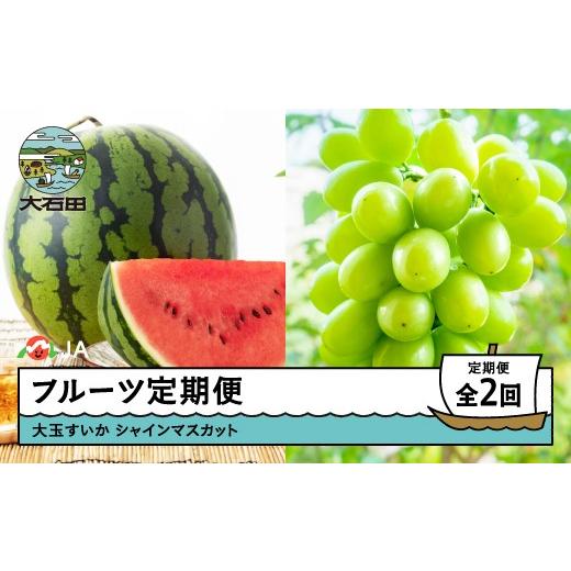 ふるさと納税 果物類 さくらんぼ 山形県 大石田町 先行予約 フルーツ定期便 全2回 大玉すいか シャインマスカット 2026年産 令和8年産 ja-ft2ss-b 令和8年産