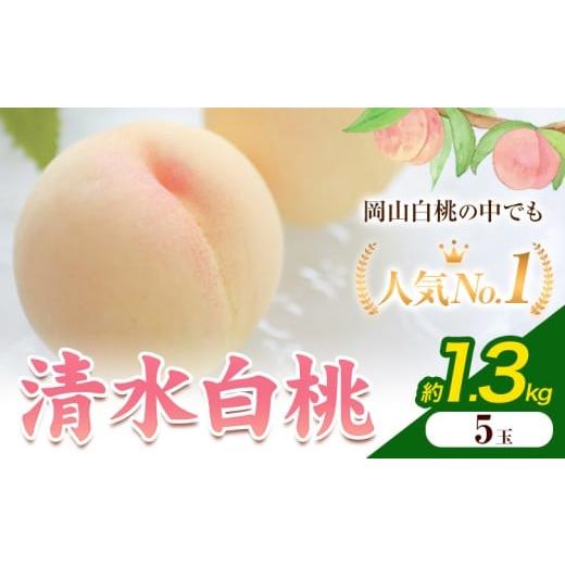 ふるさと納税 果物の詰合せ 岡山県 矢掛町 2026年発送先行予約 清水白桃 5玉 1.3kg 内容量 晴れの国おかやま館[2026年7月下旬-8月上旬頃出荷] 白桃 フルー…
