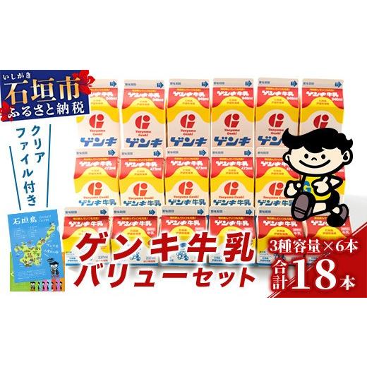 ふるさと納税 飲料類 牛乳 沖縄県 石垣市 ふるさと納税限定 ゲンキ牛乳バリューセット 八重山ゲンキ乳業 日本最南端の乳業 伊盛牧場産 生乳100%使用 GN-3 通…