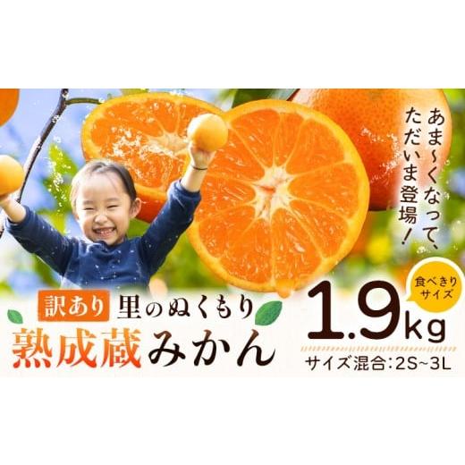 ふるさと納税 果物類 みかん 徳島県 佐那河内村 訳あり 熟成みかん 1.9kg [1月上旬-3月上旬頃出荷]徳島 柑橘 ミカン 蜜柑 フルーツ 青果物 お試し 徳島県 佐…