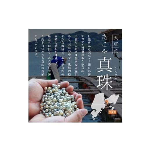 ふるさと納税 アクセサリー ネックレス 熊本県 天草市 S101-398_あこや真珠 天草 ネックレス 9mm - 9.5mm ホワイトピンク 真珠 (半貴石 シトリン ロードライト…_5