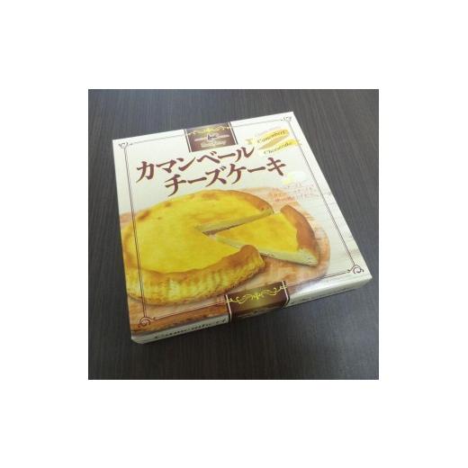 ふるさと納税 加工品等 チーズ 栃木県 矢板市 カマンベールチーズケーキ(1個直径約17cm)×1袋 |チーズ ケーキ カマンベール 濃厚 とろける スイーツ お取り寄…