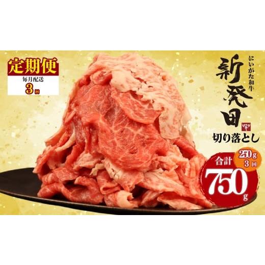 ふるさと納税 牛肉 セット 新潟県 新発田市 定期便 切り落とし 250g×3回 計750g 新発田牛 黒毛和牛 霜降り 和牛 ブランド牛 国産 しゃぶしゃぶ 小間切れ 小…