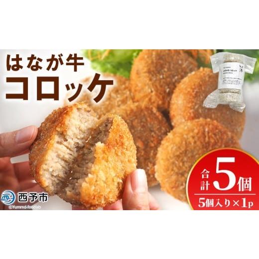 ふるさと納税 惣菜・レトルト 愛媛県 西予市 はなが牛コロッケ 計5個 5個入り オリジナル おつまみ お肉 牛肉 はなが牛 国産 ころっけ 肉加工品 冷凍食品 牛…