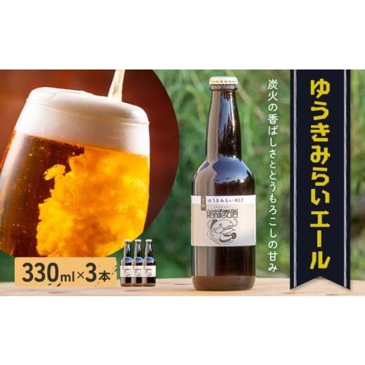 ふるさと納税 ビール 地ビール 茨城県 結城市 ビール ゆうきみらいエール 330ml × 3本 株式会社結城麦酒[30日以内に出荷予定(土日祝除く)]茨城県 結城市 ビ…