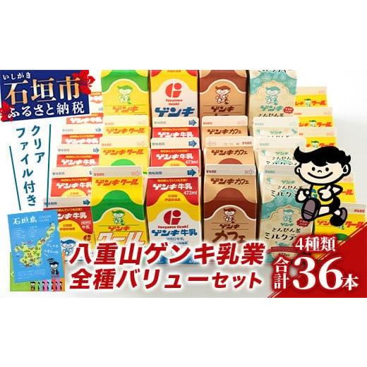 ふるさと納税 飲料類 牛乳 沖縄県 石垣市 ふるさと納税限定 八重山ゲンキ乳業 全種バリューセット 八重山ゲンキ乳業 ゲンキ牛乳 石垣島のソウルドリンク ゲン…
