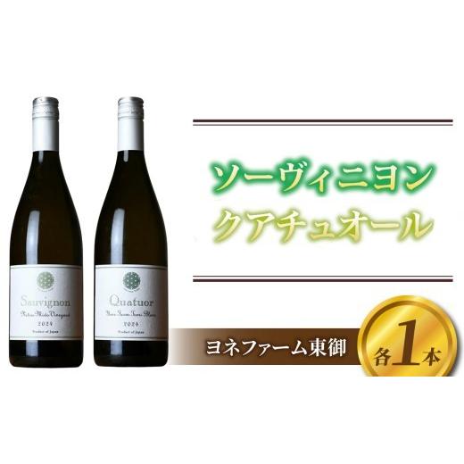 ふるさと納税 ワイン セット 長野県 東御市 ソーヴィニヨン2024、クアチュオール2024 各1本 ヨネファーム東御