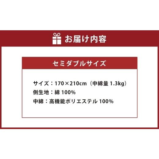 ふるさと納税 タオル・寝具 掛け布団 福岡県 みやま市 S72 お手頃 防ダニ 合い掛け布団 セミダブルサイズ 綿 高機能ポリエステル 掛け布団 布団 ふとん 洗える…の画像