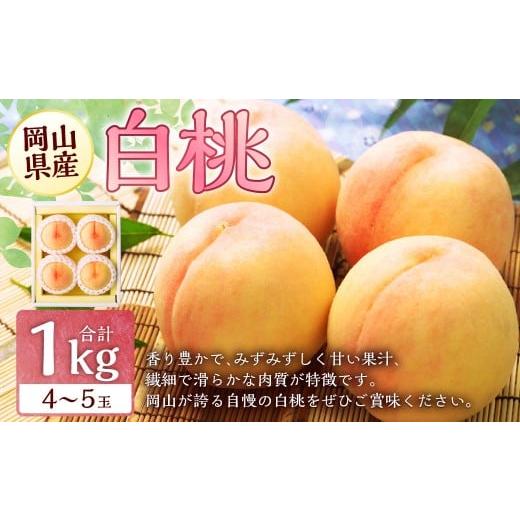 ふるさと納税 もも 岡山県 美咲町 岡山 白桃 4〜5玉 (合計1.0kg以上) 2026年7月上旬〜8月上旬 発送予定 白桃 桃 もも モモ 果物 くだもの フルーツ お取り寄…