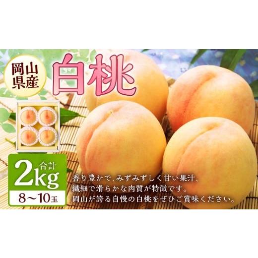 ふるさと納税 もも 岡山県 美咲町 岡山 白桃 8〜10玉 (合計2.0kg以上) 2026年7月上旬〜8月上旬 発送予定 白桃 桃 もも モモ 果物 くだもの フルーツ お取り…