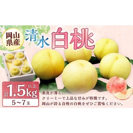 ふるさと納税 もも 岡山県 美咲町 岡山 清水 白桃 5〜7玉 (合計1.5kg以上) 2026年7月上旬〜7月下旬 発送予定 白桃 桃 もも モモ 果物 くだもの フルーツ お…