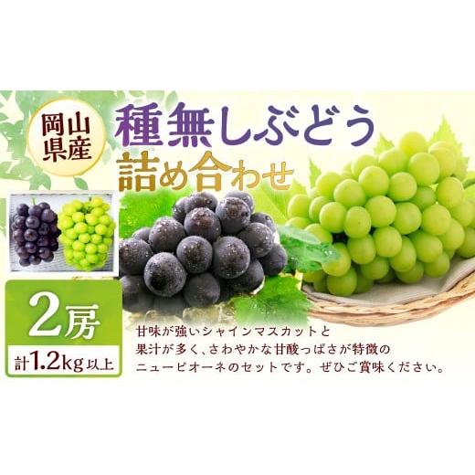 ふるさと納税 果物類 ぶどう 岡山県 美咲町 種無しぶどう 詰合せ 2房(合計1.2kg以上) 2026年9月上旬〜10月上旬 発送予定 シャイン マスカット ぶどう 葡萄 …